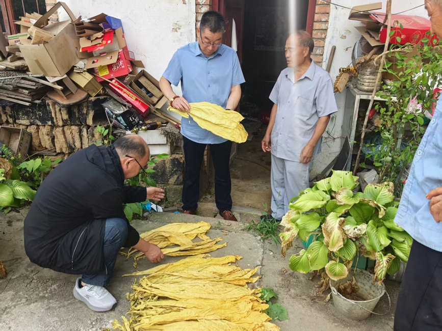 图为县分公司农艺师走进农户开展技术指导。张蒙蒙摄