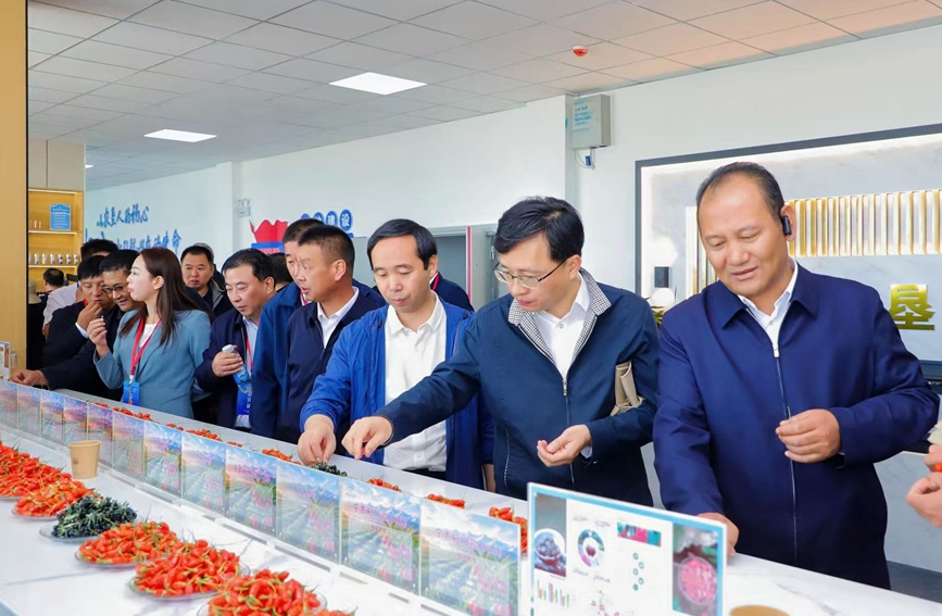 2026年柴达木枸杞产销对接会启幕 高原“红果”乘风拓市正当时
