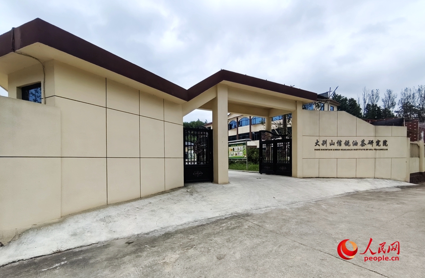 由废弃小学校舍改建的大别山信锐油茶研究院。人民网记者 辛静摄