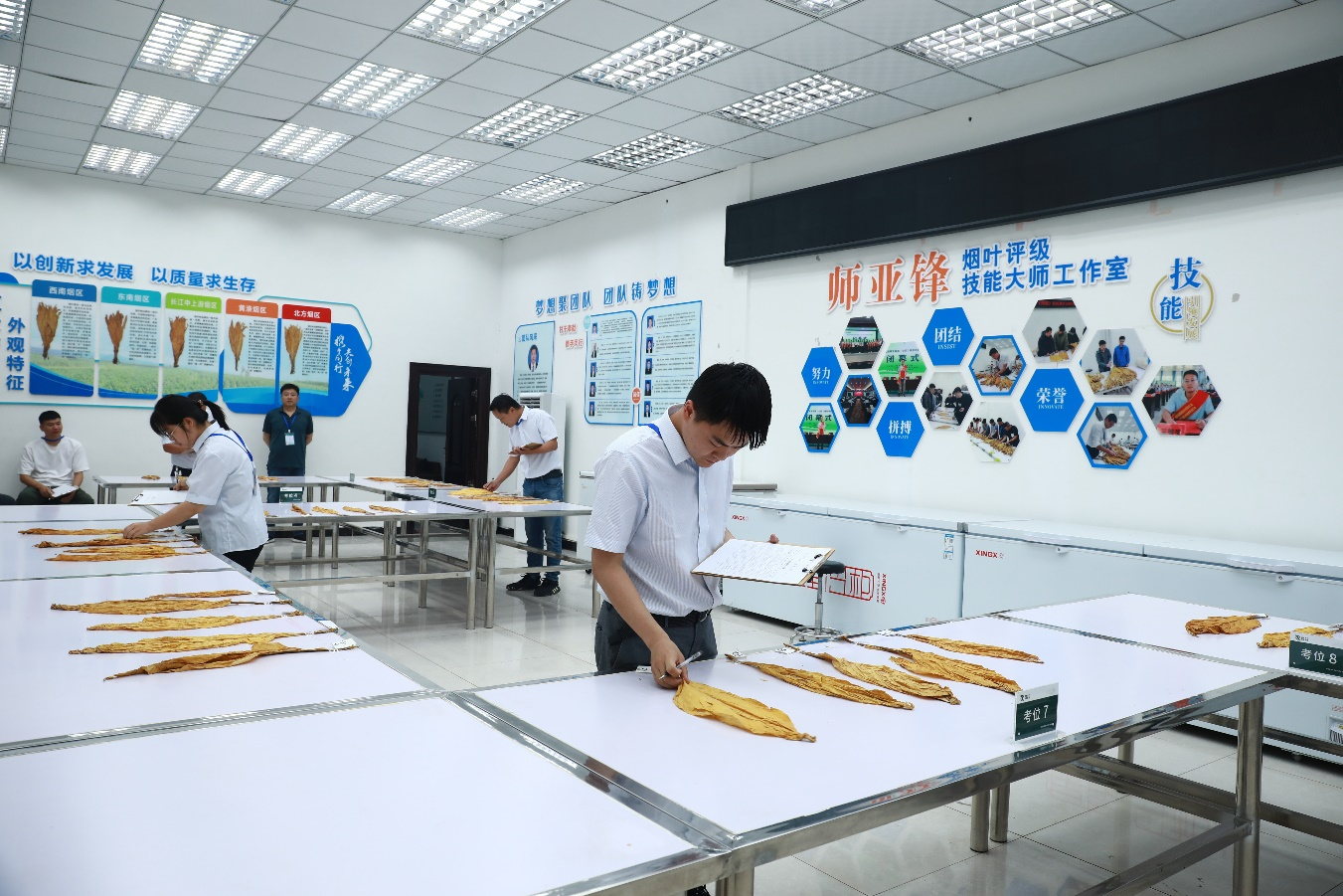 培训考试现场，学员正对照样品进行片烟等级判定实操。姚谆摄