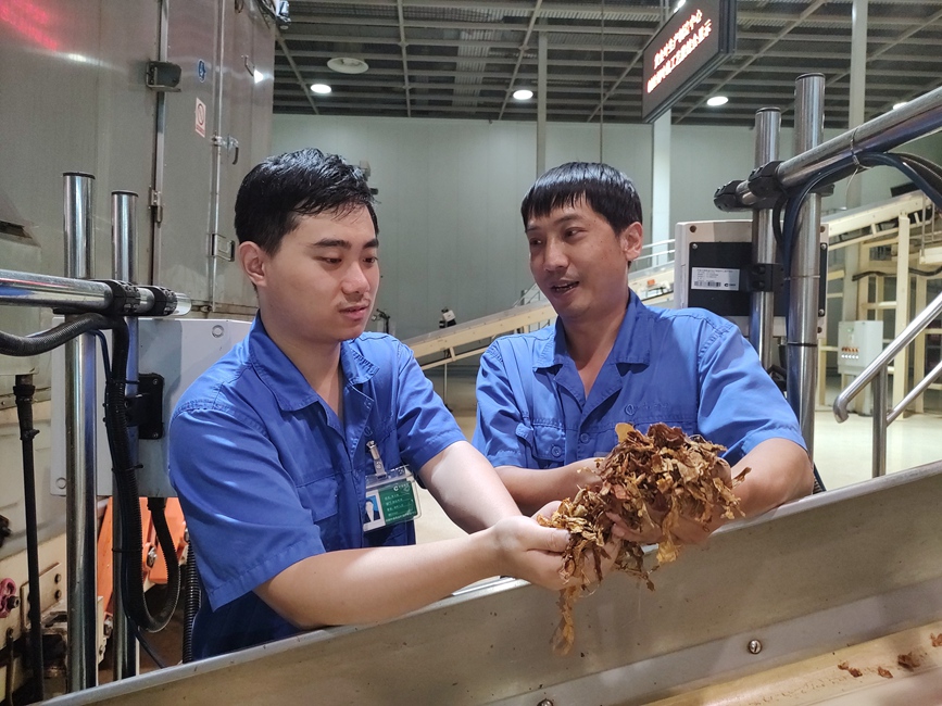 车间实操导师为青年职工讲述烟叶加工过程注意事项。黄阳广摄