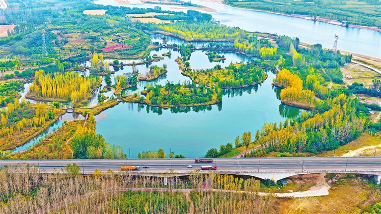 黄河湿地成为亮丽风景线