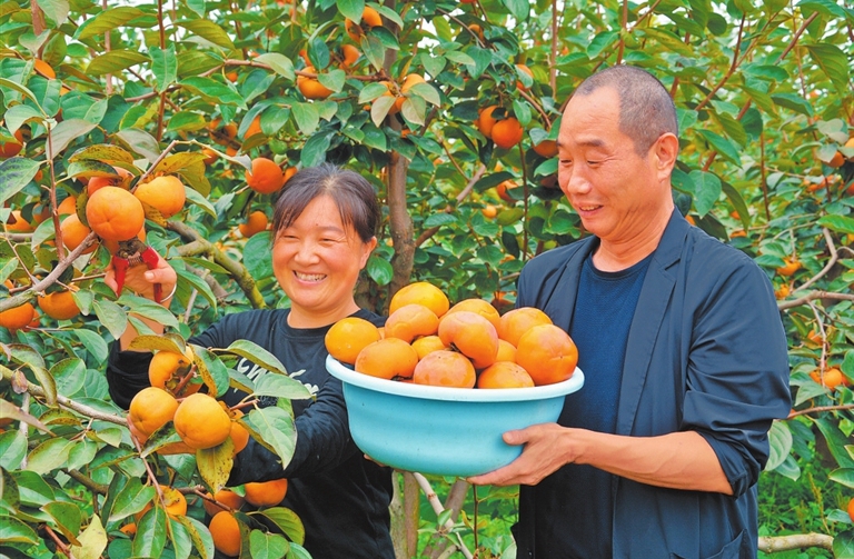 农场采摘 乐享金秋美好时光